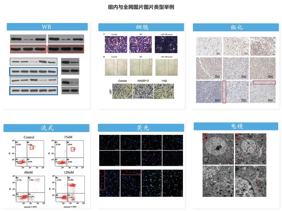 AI智能图片查重技术