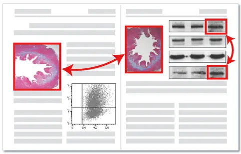 图片重复检测系统